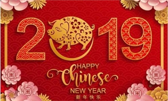 祝你2019猪年快乐